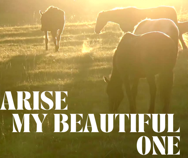 Arise My beautiful one