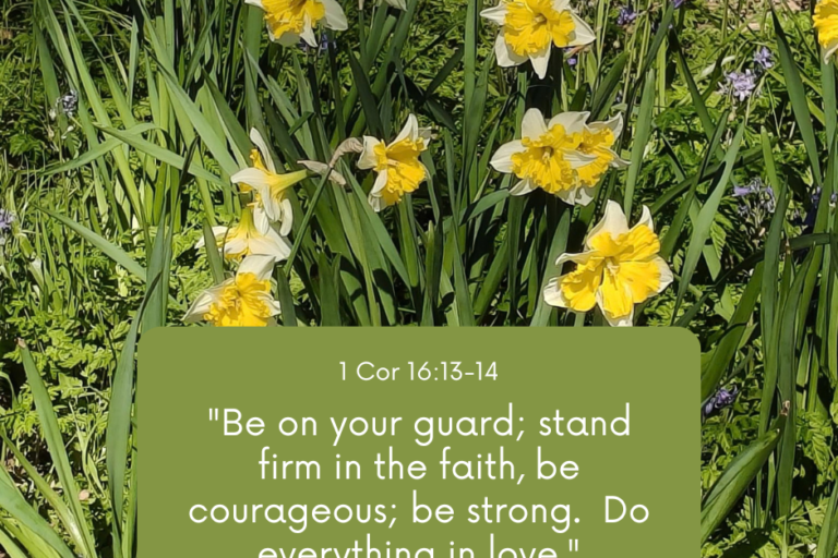 1 Cor 1613-14 Be on your guard; stand firm in the faith, be courageous; be strong. Do everything in love.